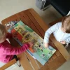 Egmont - Magnetic Game, Farm