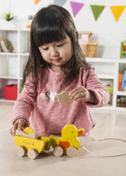 Everearth Wooden Pull Along Duck & Egg
