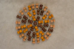 Grapat - Wooden Mandala Mushrooms