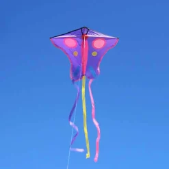 Harlequin Butterfly Kite Purple Pink