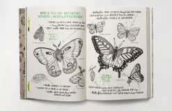 Hello Nature Activity Book