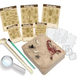 Kidz Labs - Creepy Crawly Digging Kit