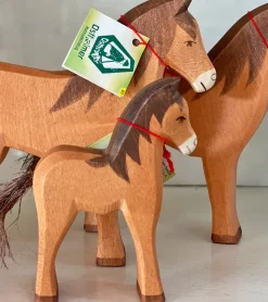Ostheimer - Brown Horse Colt