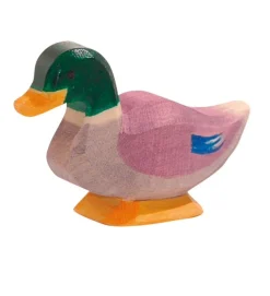 Ostheimer - Duck Male