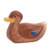 Ostheimer - Duck Swimming