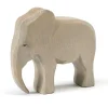 Ostheimer - Elephant Male