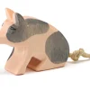 Ostheimer Spotted Piglet Sitting
