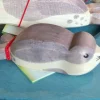 Ostheimer Wooden Sea Lion Small