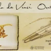 Pathfinders - Leonardo Da Vinci Ornithopter