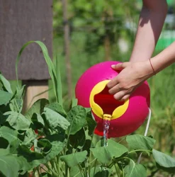 Quut - Ballo - Calypso Pink
