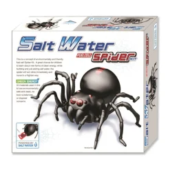 Salt Water Spider