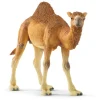 Schleich Wild Life - Dromedary Camel
