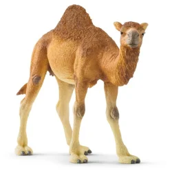 Schleich Wild Life - Dromedary Camel
