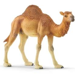 Schleich Wild Life - Dromedary Camel