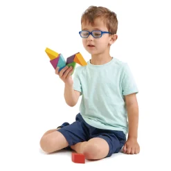 Tender Leaf Toys Magblocs