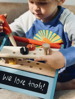 Tender Leaf Toys Tool Box