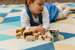The Freckled Frog Farm Animals