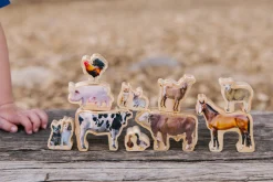 The Freckled Frog Farm Animals