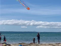 Windspeed Kites - Jellyfish