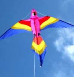 Windspeed Kites - Lorikeet