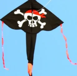 Windspeed Kites - Pirate Delta
