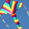 Windspeed Kites - Rainbow Delta
