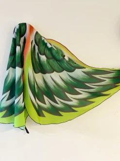 Wings - Bird, Lorikeet