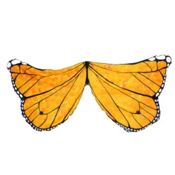 Wings - Butterfly, Orange