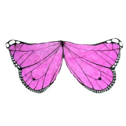 Wings - Butterfly, Pink