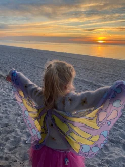 Wings - Multi Chiffon Wings - Pink