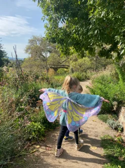 Wings - Multi Chiffon Wings - Pink