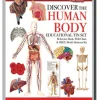 Wonders Of Learning - Discover The Human Body Tin Set