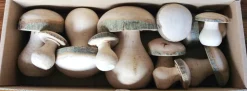 Wooden Mushrooms In Wood
